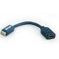 Cable adaptador mini DVI macho a HDMI hembra
