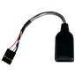 USB 2.0 AF a 5 pines interno, 15 cm